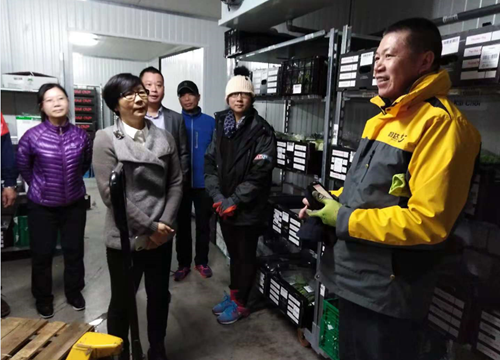 廣州僑聯(lián)主席梁瑞冰和員工親切交談，了解他們?cè)诤商m的生活情況
