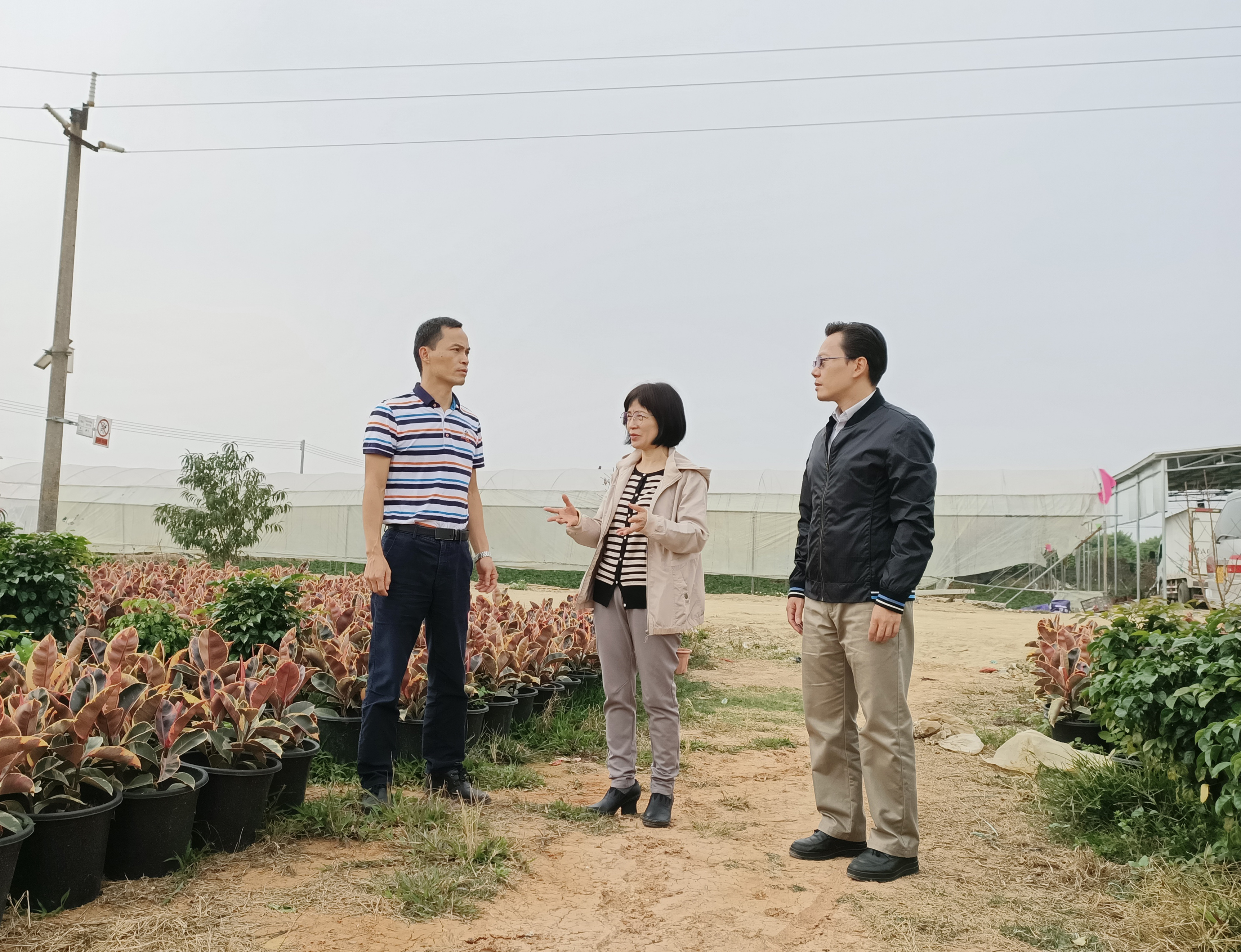 了解花卉種植經(jīng)營情況.jpg