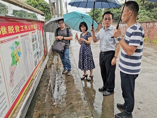 吳少姬副主席現(xiàn)場指導(dǎo)精準(zhǔn)扶貧宣傳工作
